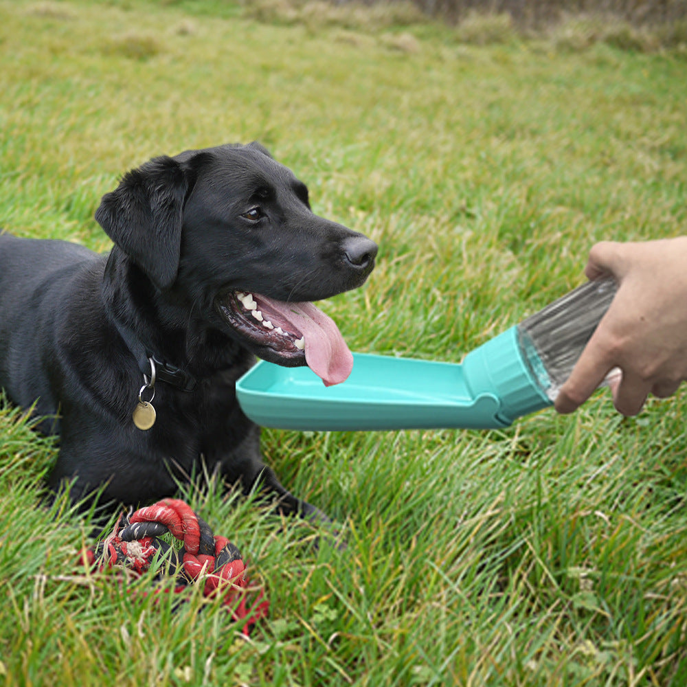 Dog outing water cup
